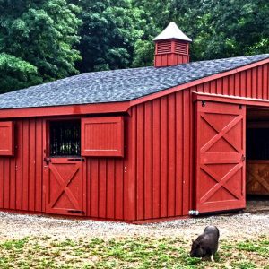 horse-barns-low-profile-36x24-painted-board-and-batten-in-conneticuit